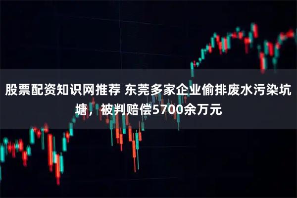 股票配资知识网推荐 东莞多家企业偷排废水污染坑塘，被判赔偿5700余万元